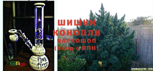 гидропоника Лагань